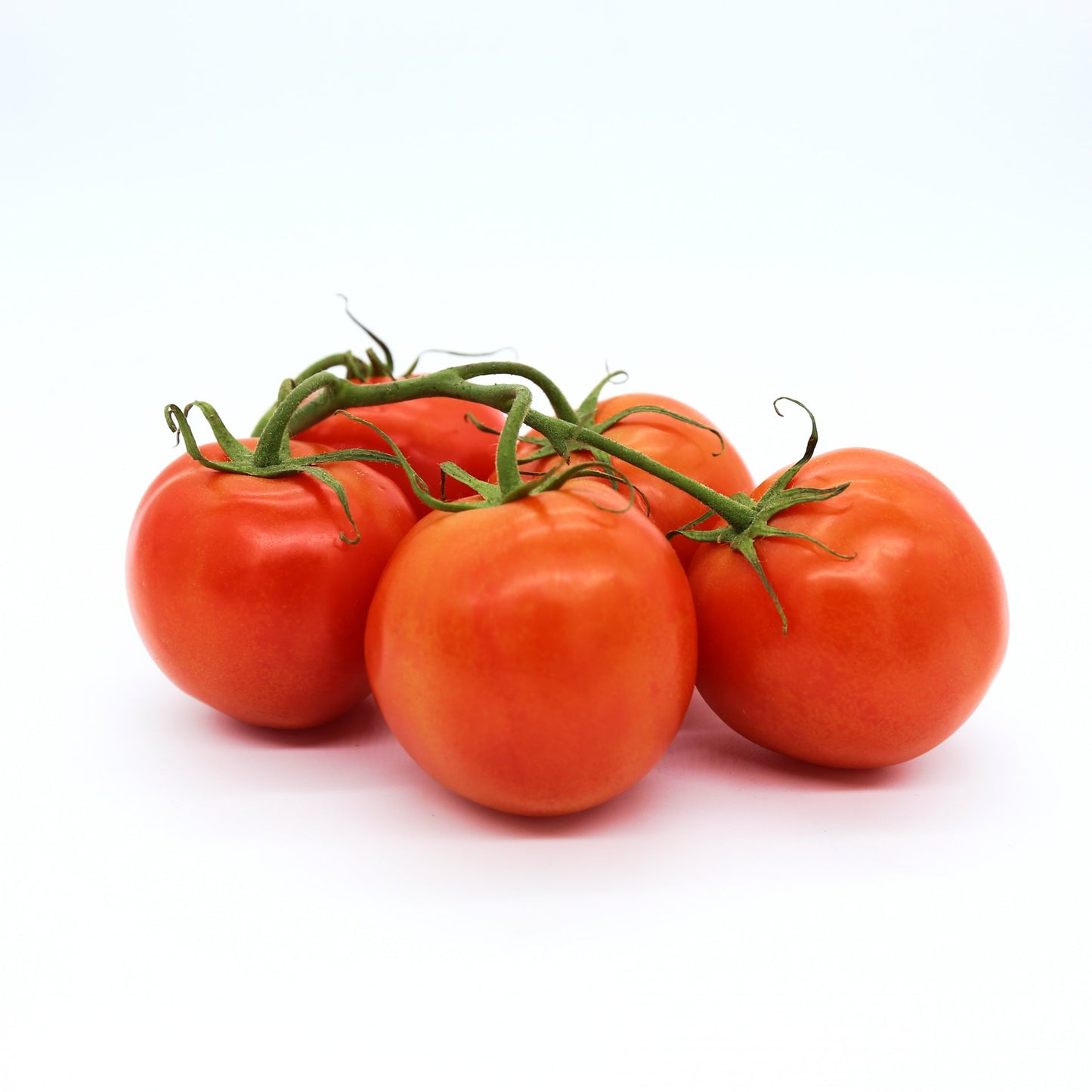 Paradajky strapcové Merlice