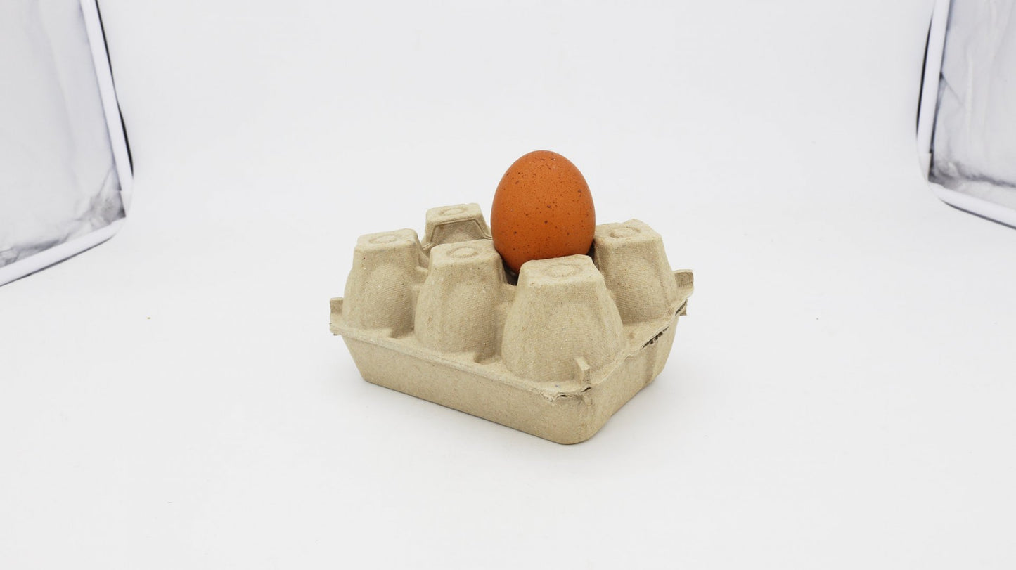 Vajíčko z voľného výbehu 1ks