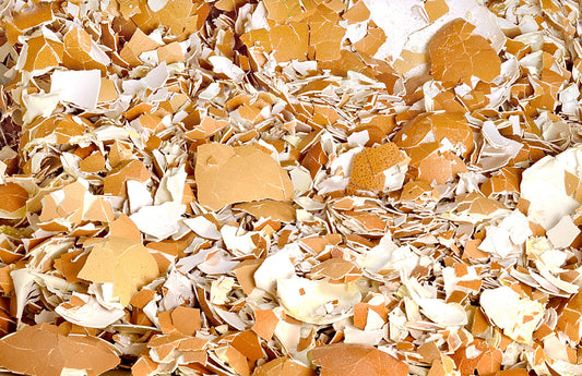 Vaječné Škrupiny: Praktické Tipy Pre Zero Waste Domácnosť