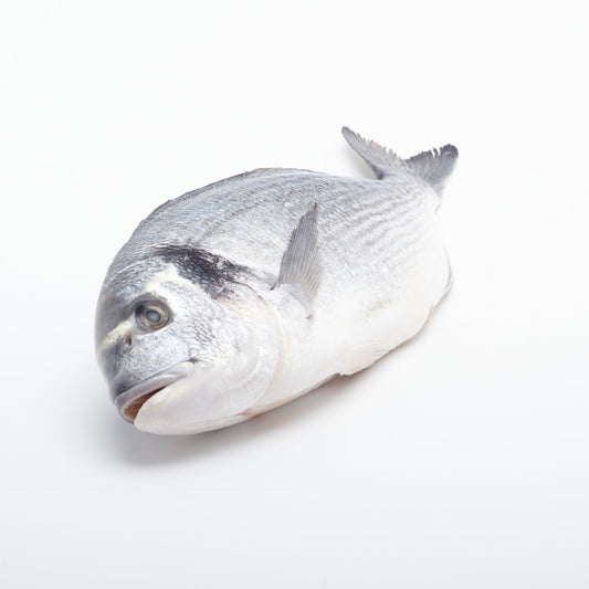 BIO Pražma kráľovská