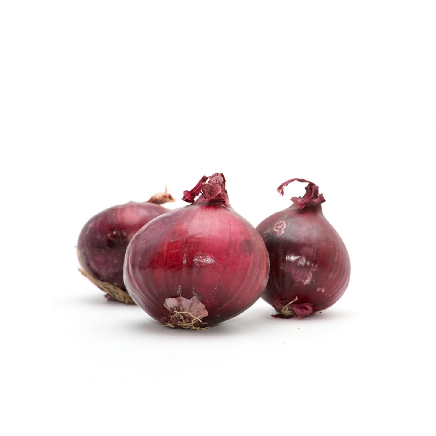 Cibuľa červená BIO