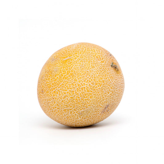 Melón Galia