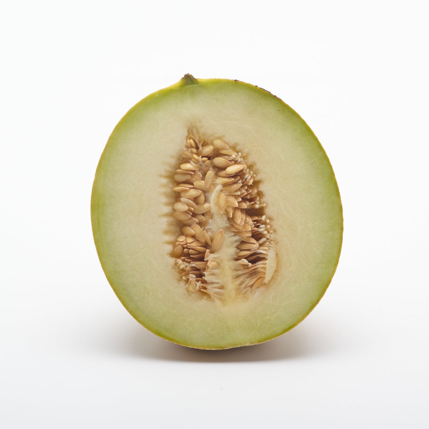 Melón Galia polovica