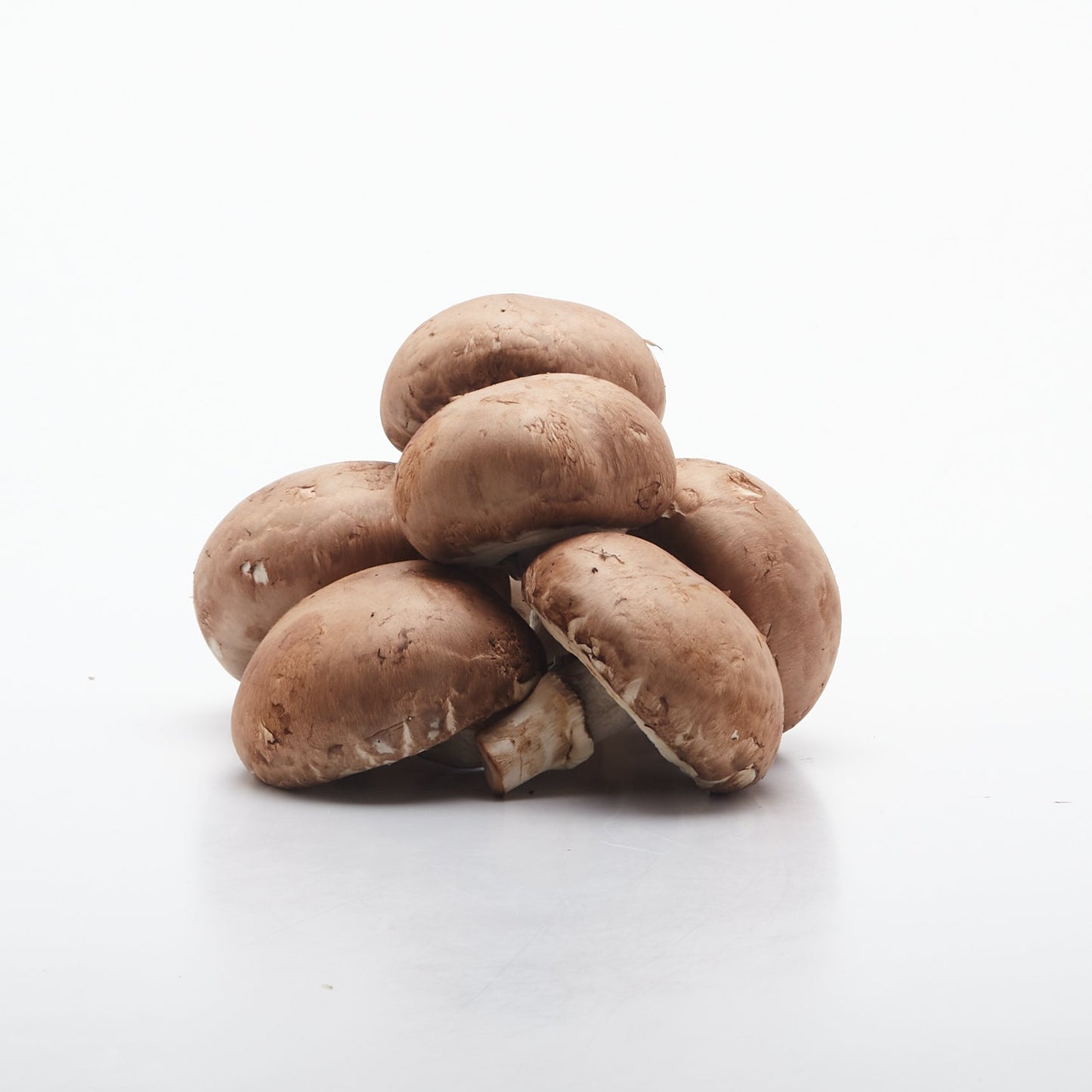 Hnedé šampiňóny BIO